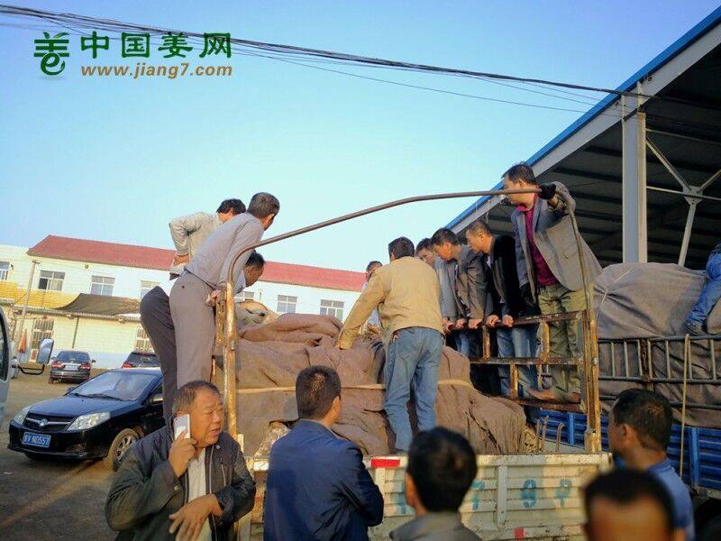 QQ图片20170907214811