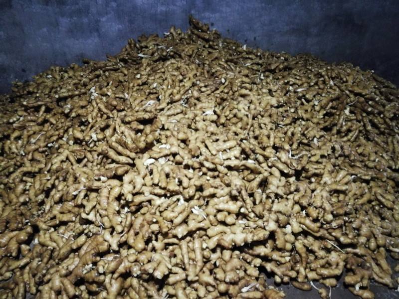 IMG_20170909_050042(1)