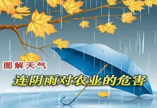 连阴雨对农业的危害 ()
