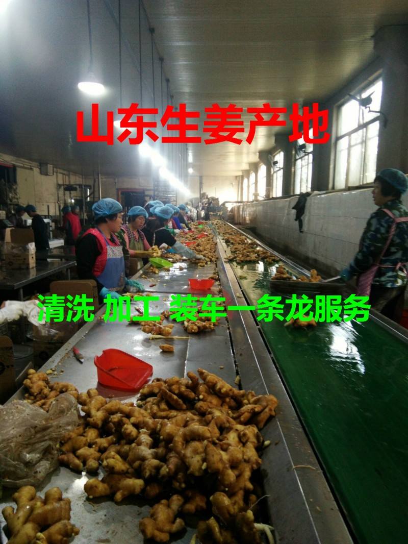 QQ图片20171113155649_meitu_1