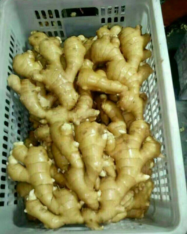 QQ图片20171113154254