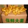 山东生姜价格