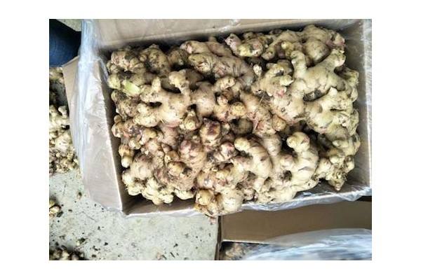 肉姜口味佳，或成国际新宠 ()