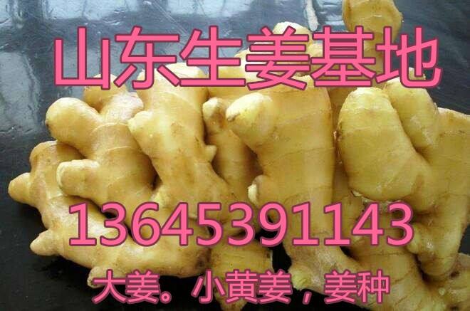 2345水洗姜图片_image_file_copy_1_副本