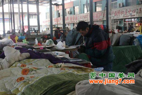 德州：蔬菜被冻，菜价翻倍 ()