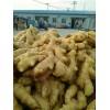 生姜批发多少钱一斤山东生姜价格