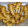 长期供应生姜 黄姜小姜  土豆