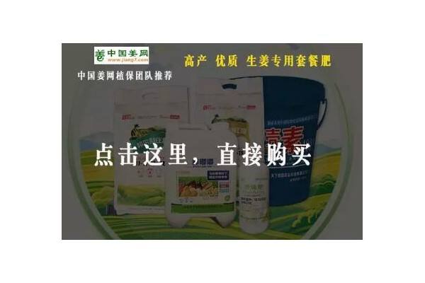 激荡25年：回望大姜1993-2018 ()