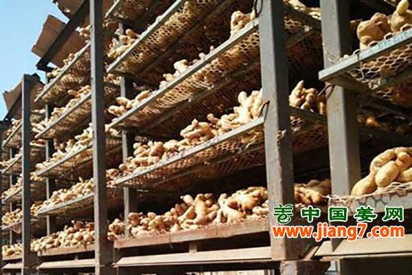 生姜：减产影响供应，涨势已定 ()