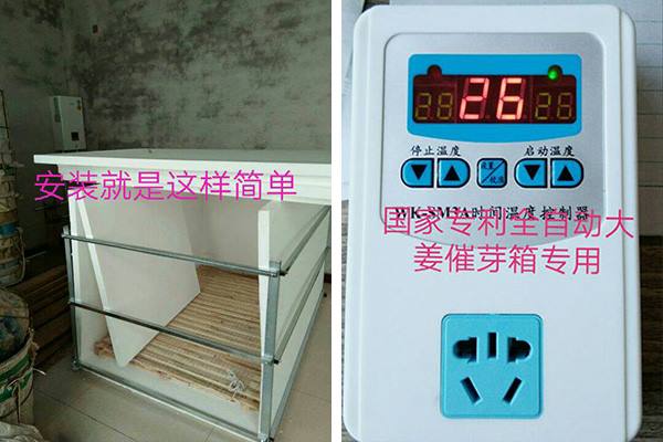 全自动大姜催芽专用箱2