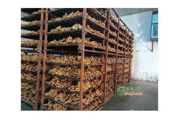 生姜价涨，出口未受影响 ()