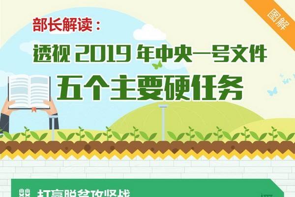 部长解读：透视2019年中央一号文件五个主要硬任务 ()