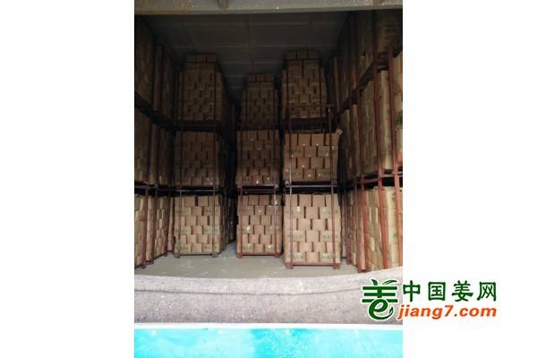 安丘大型冷库，提供各种生姜