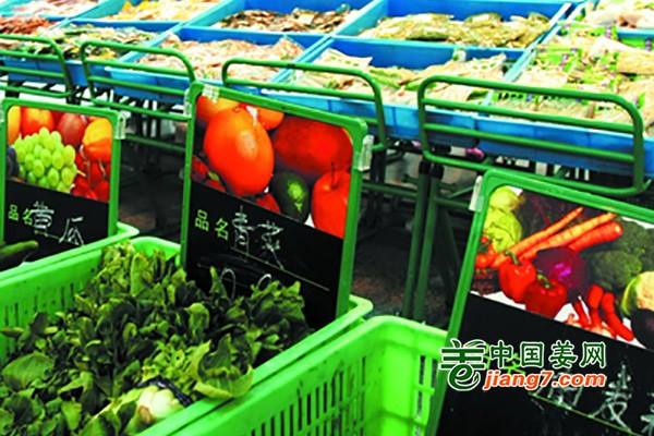 温州菜价持续走低 ()