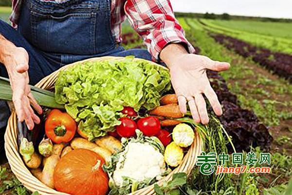 湖南上半年蔬菜产量同比增长2.4% ()