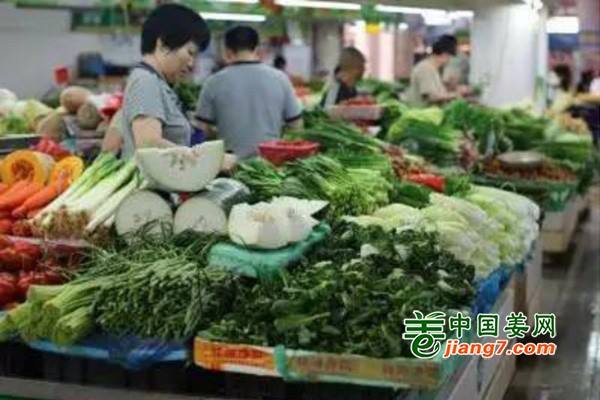 江苏镇江：蔬菜价格或会攀升 ()
