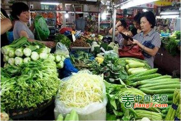 青海西宁菜价下滑 ()