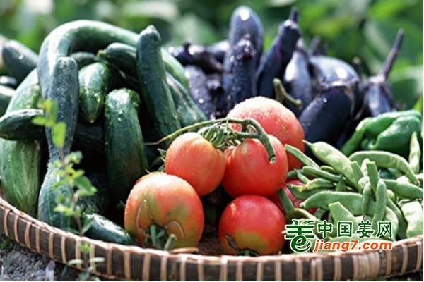 双节来临 蔬菜供应量足价稳 ()