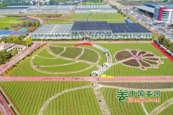 成都举办第十届菜博会 ()