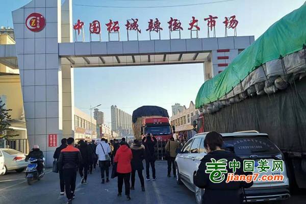 2019北方辣椒市场调研【柘城站】 ()