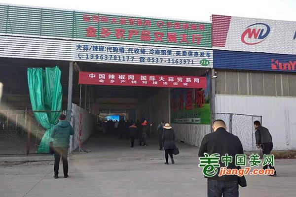 2019北方辣椒市场调研【金乡站】 ()