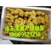 生姜产地批发，大黄姜，小黄姜