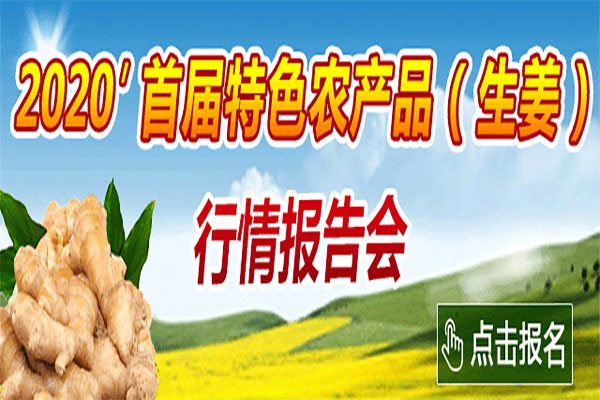 2020'首届特色农产品（生姜）行情报告会 ()