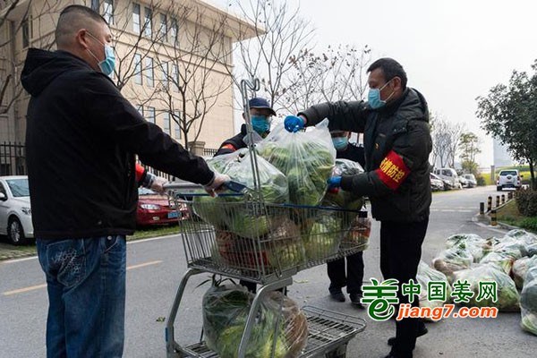 湖北襄阳：半价蔬菜暖民心 ()