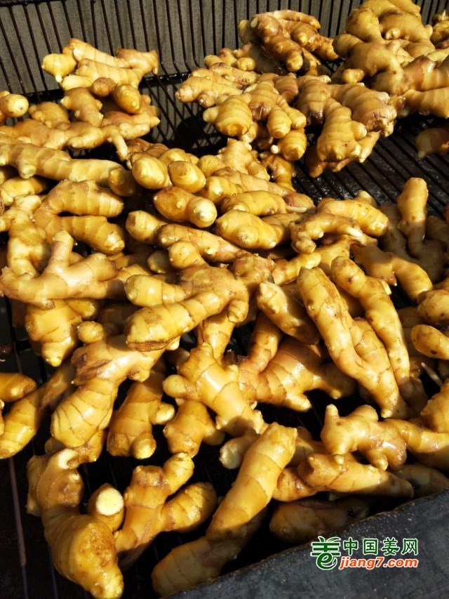 微信图片_20200317125252