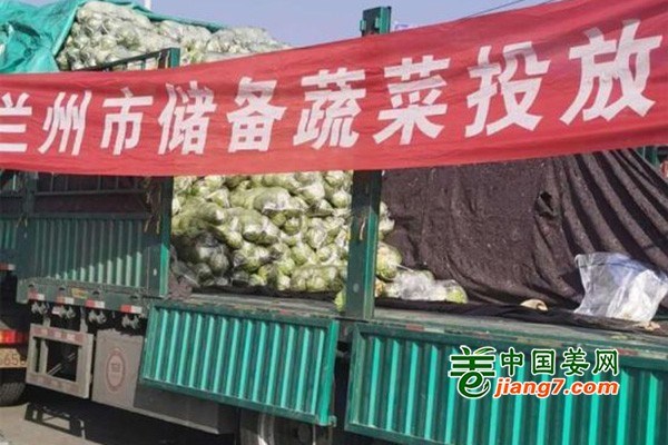 兰州：再次投放低价储备蔬菜 ()