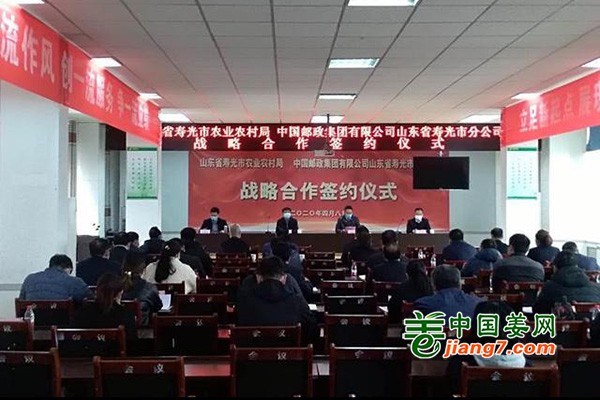 寿光推出为农服务新举措 ()