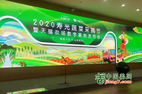 寿光蔬菜采摘节开始啦! ()