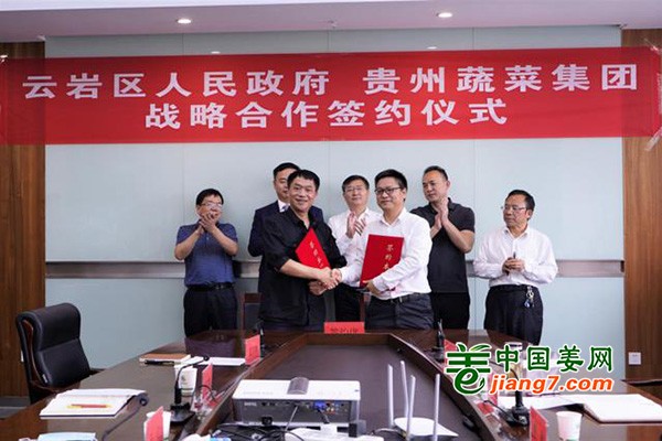 贵州：政府+蔬菜龙头企业合力脱贫攻坚 ()