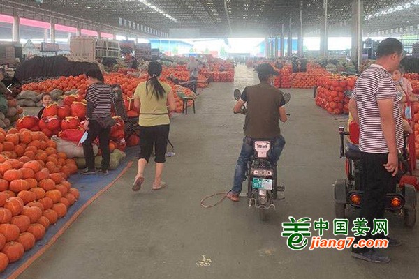 寿光蔬菜供应量增价减 ()