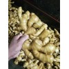 大黄姜，小黄姜，二黄姜产地直销