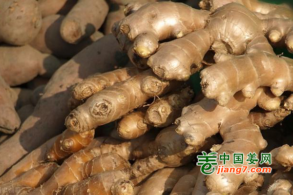 北京新发地：蔬菜供应恢复，葱姜价高难回落 ()