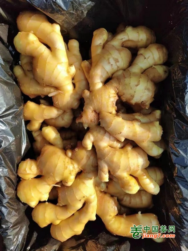 大量优质生姜，产地直销价格便宜