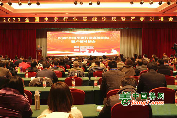 2020全国生姜行业高峰论坛暨产销对接会在平度举办 ()
