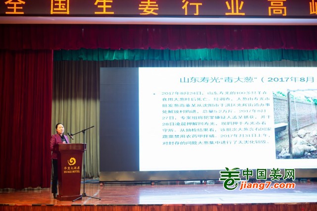 "树立生姜质量安全意识"讲座 ()