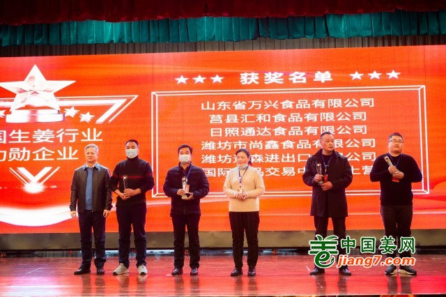 2020全国生姜行业功勋企业 ()