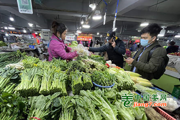 广西南宁：反季节蔬菜价格涨幅明显 ()