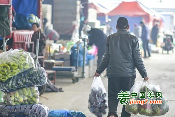 济南：节后菜价大降 ()