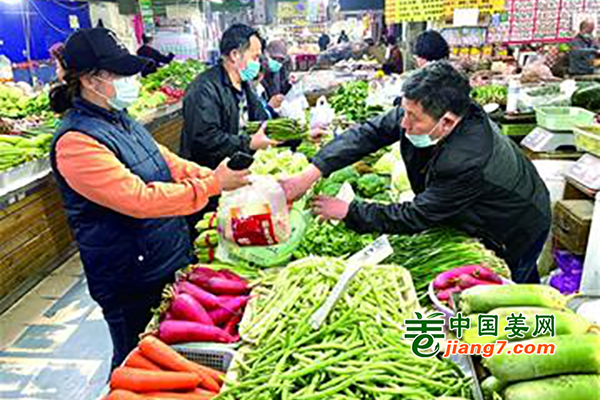 青岛：蔬菜大量上市 价格更亲民 ()