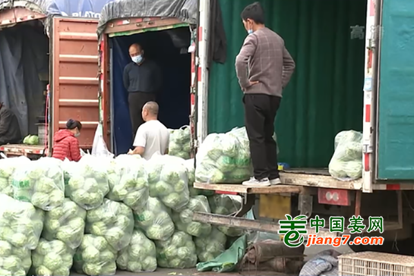 北京：蔬菜供应转换 价格季节性下降 ()