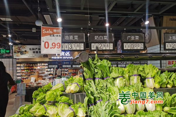 湖北十堰：暖棚转露地 菜价一路回落 ()