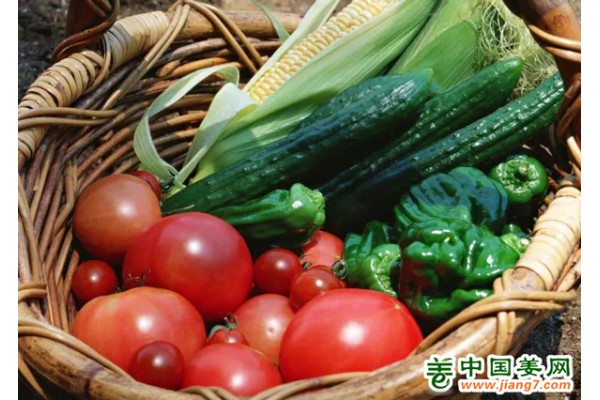 大同：蔬菜生长加速 菜价有望继续回落 ()