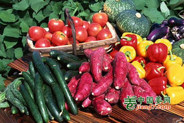 济南：5月蔬菜价格呈下降态势 ()