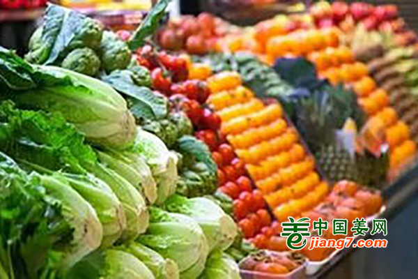 禹城：5月份菜价继续回落 ()