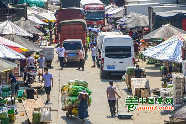 重庆：蔬菜供应较为充足 价格稳定 ()