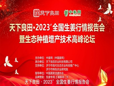 2023’全国生姜行情报告会暨生态种植增产技术高峰论坛成功举办 ()
